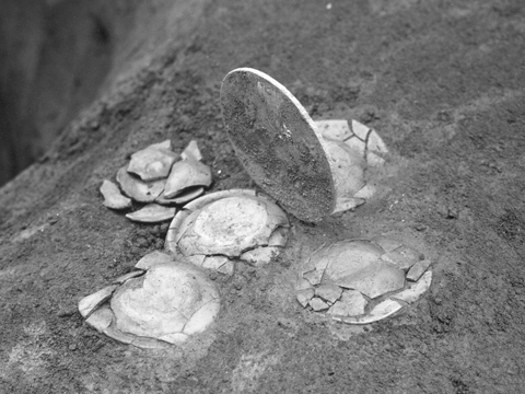 �s���s�y�Ѝs�l�˃J�����P�E�������o�󋵁i�n����\�j